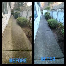 Discover-the-difference-Puddles-Pressure-Washing-can-make-for-your-Vancouver-Washington-home 3