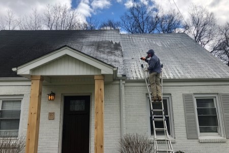 Roof cleaning