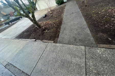 Sidewalk cleaning